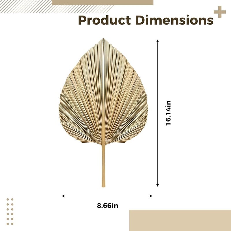 مجموعة مروحة أوراق النخيل المجففة الطبيعية من 5 قطع، ديكور منزلي على الطراز البوهيمي - Image 3